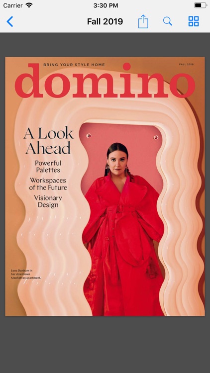 Domino Magazine