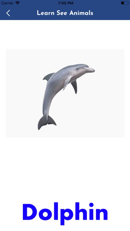 Kids - Knowing Animals screenshot-6