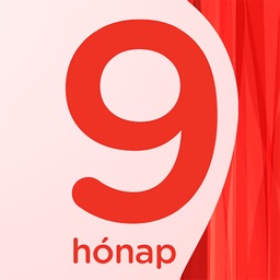 9 hónap