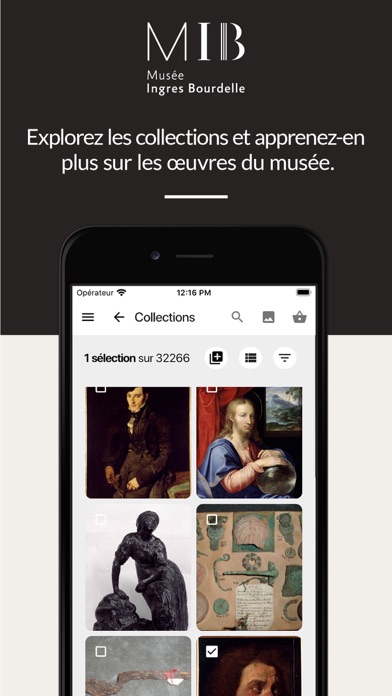 Musée Ingres Bourdelle screenshot 4
