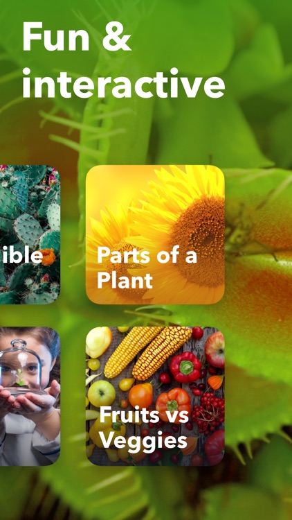 Plant Life - Science for Kids