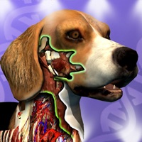 Idle Animals! for windows