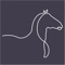 CAVALL is a boutique sale barn that connects buyers and sellers of quality horses on a mobile app