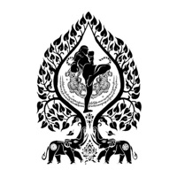 The MangoTree Fitness&MuayThai  PC 용