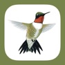 Get Sibley Guide to Hummingbirds for iOS, iPhone, iPad Aso Report