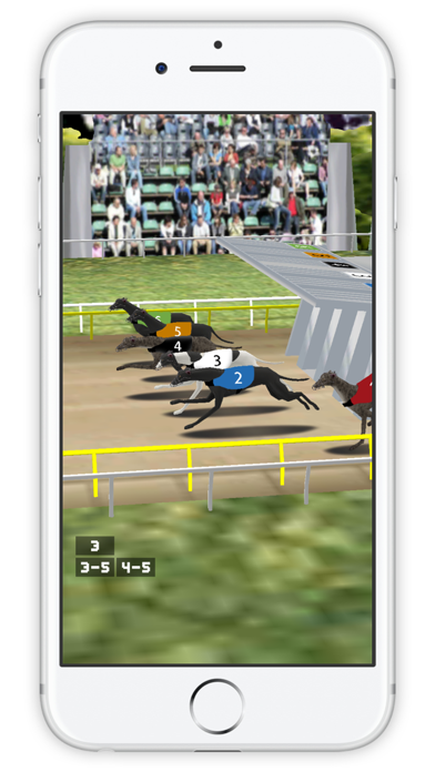 Simple Greyhound Racing screenshot 3