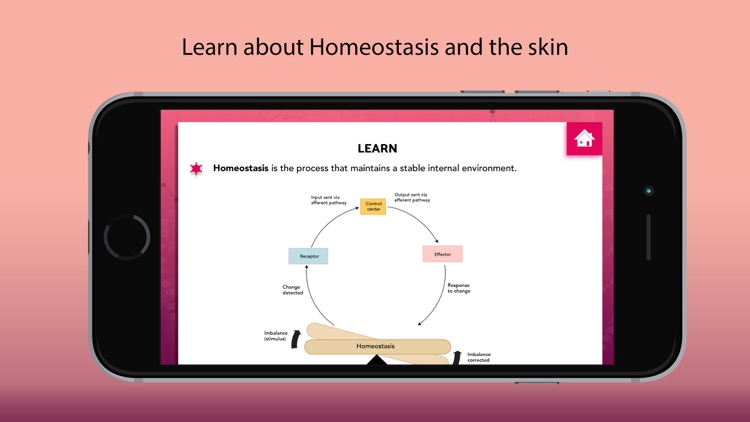 Homeostasis Biology