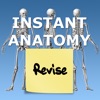 Anatomy Revision