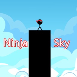 Ninja Over Sky