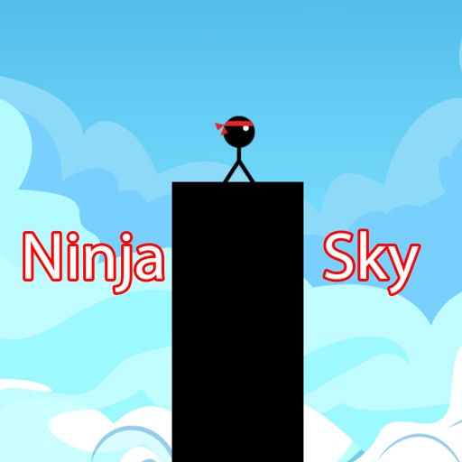 Ninja Over Sky