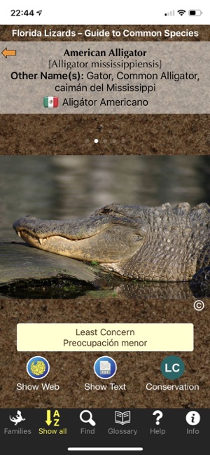 Florida Lizards(圖2)-速報App