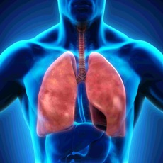 Activities of Anatomy : Respiratory System