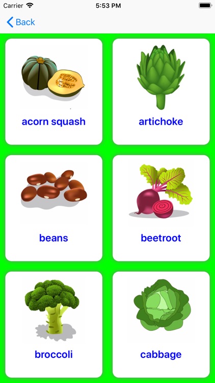 Fruits and Vegetable