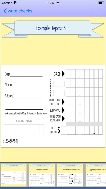 write checks screenshot-4