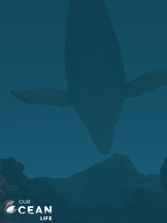 Screenshot #5 pour Our Ocean Life
