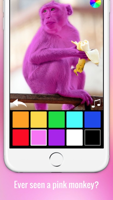 Color Zoo - Learn colors with animals Screenshot 4