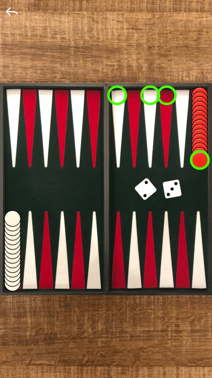 Narde Backgammon