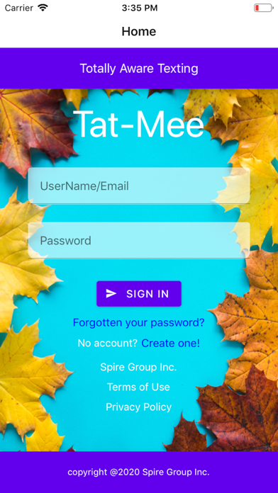 App preview