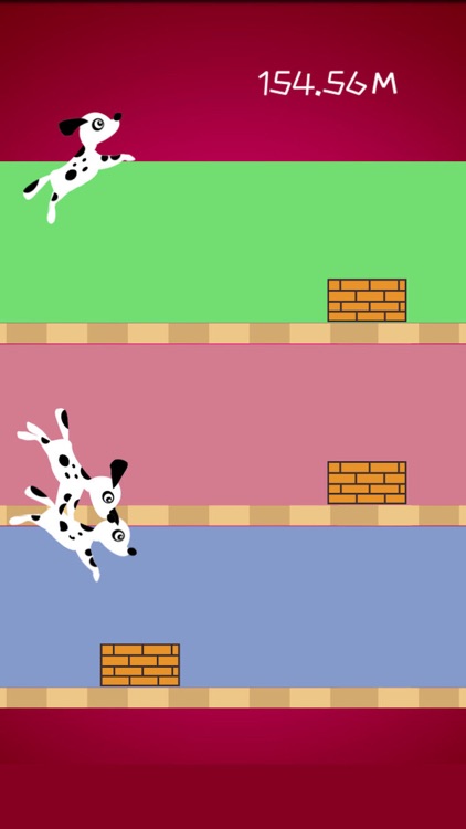 Make  Dogs in Temple Jump 2020