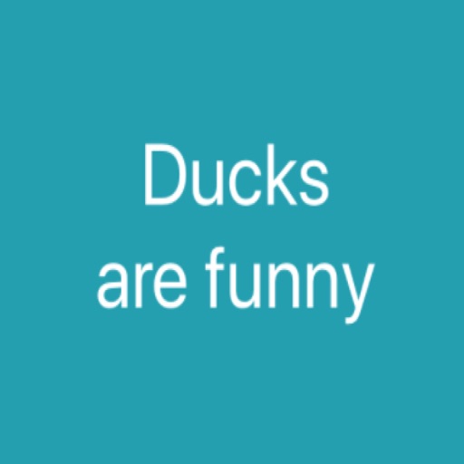 Ducks are funny