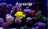 Deap Sea Aquarium 4K