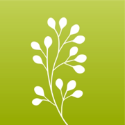 genea