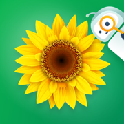 Plant Life - Science for Kids