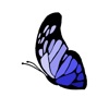 Butterfly SmartCity Network