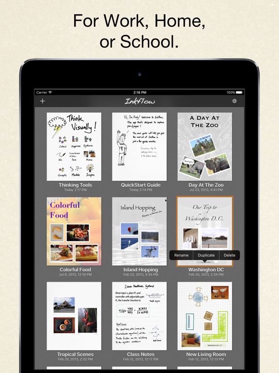 Inkflow Visual Notebook iPad app afbeelding 5