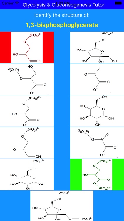 Glycolysis Glucogenesis Tutor screenshot-4