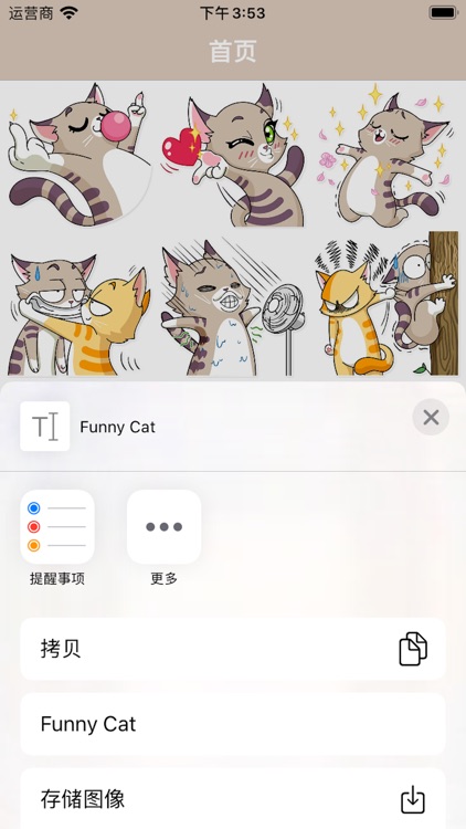 有趣猫