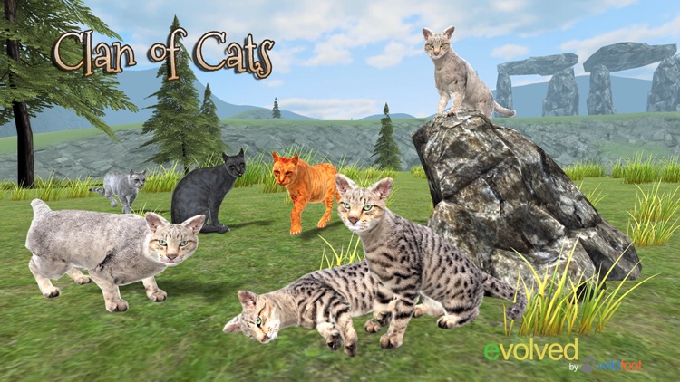 Clan Of Cats