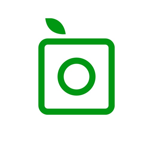icon icon