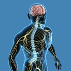 Top 30 Education Apps Like Nervous System Quizzes - Best Alternatives