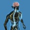 Our app for anyone who wants to learn or test and refresh your knowledge about nervous system anatomy, functions and disorders of nerves and the neuroanatomy