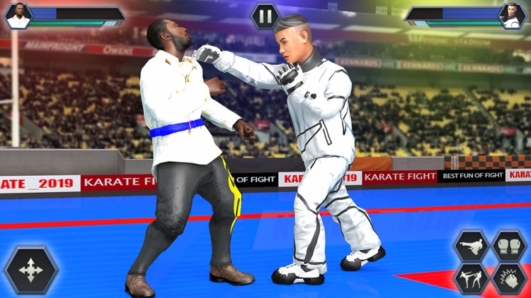 Real Karate Fight Punch 2020