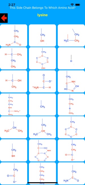 Amino Acid Side Chain Tutor(圖3)-速報App