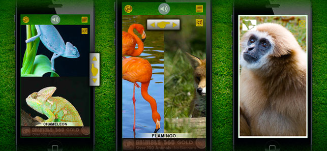‎Animals 360 Screenshot