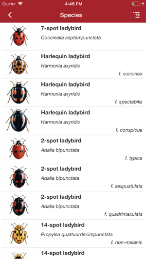 European Ladybirds(圖3)-速報App