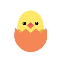 check check-운세,사주, 궁합, 토정비결 챗봇 PC 용