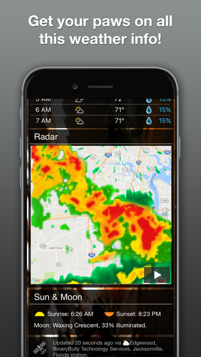 Weather Puppy Forecast + Radar Screenshot