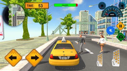 New York Taxi Cab Driver screenshot 3