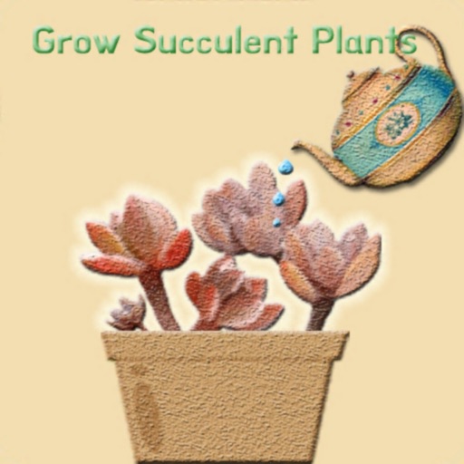 Grow Plant