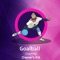 Goalball Coaching Owner's Kit is free and without advertisement with below features sets : 