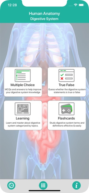 Anatomy : Digestive System