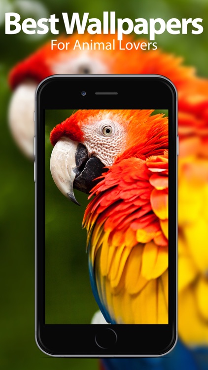 Animal Wallpapers & Themes