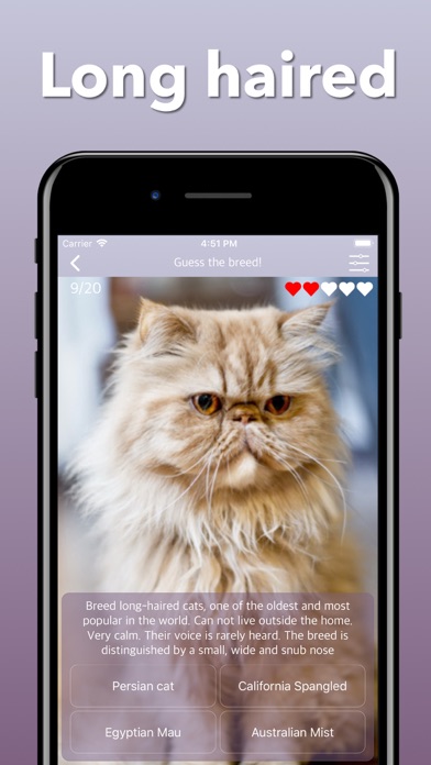 How to cancel & delete Cat Breeds Guess The Cats Quiz from iphone & ipad 4