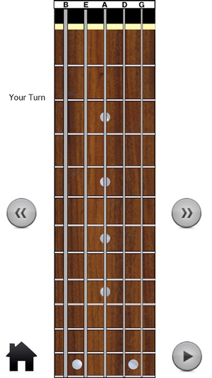 5 String Bass Modes screenshot-3