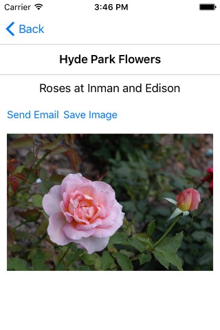 Hyde Park Flowersのおすすめ画像2