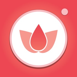 Flower album-Beautiful flower